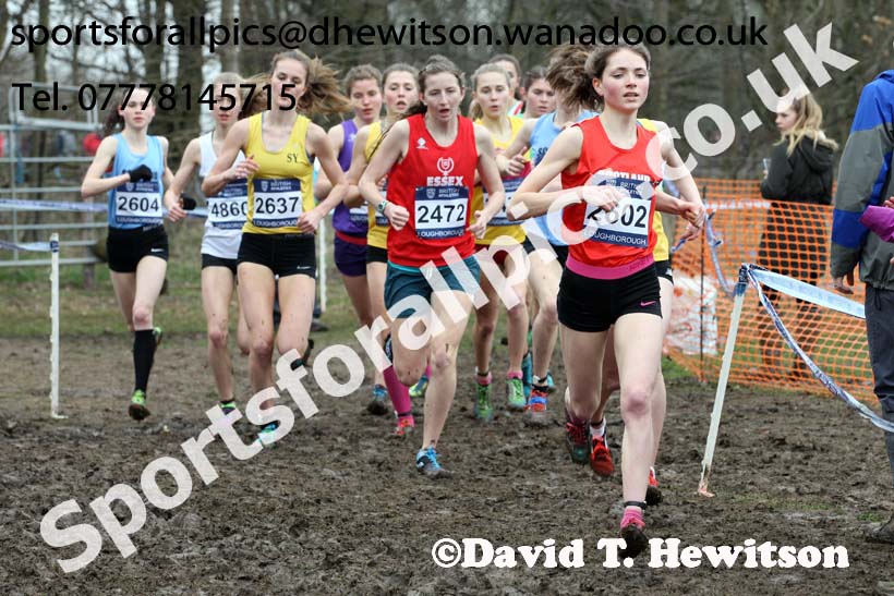 Womens under-20s Inter Counties Cross Country, Prestwold Hall, Loughborough. Photo: David T. Hewitson/Sports for All Pics